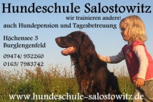 Hundeschule-Pension - Hunde - Burglengenfeld