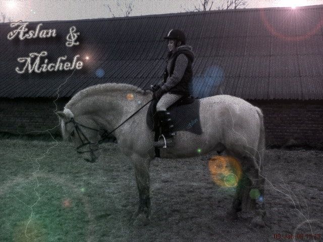 Suche Reitbeteiligung in Wesel,Hamminkeln,Flüren und Umgebung - Reitbeteiligung - wesel