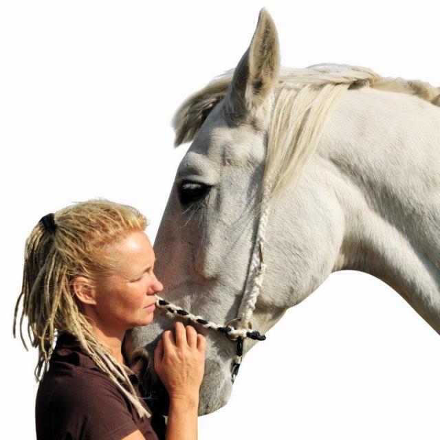Einsteigerkurse Tierkommunikation - Pferde - Nauen
