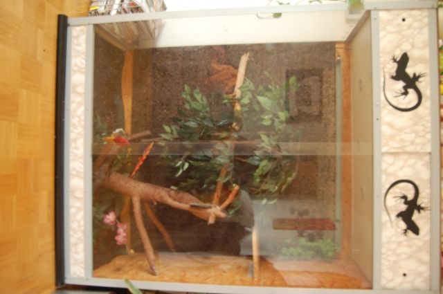 Terrarium BxHxT 144x193x61 zu verkaufen - Terrarien - Idstein