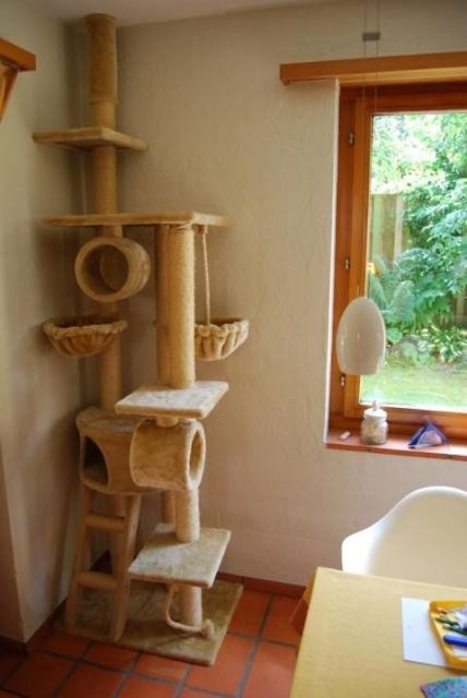 Katzenbaum  - Zubehoer für Haustiere - Seuzach