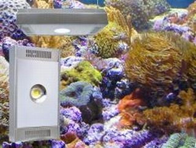 AquaLight Eco LED-Lampe 100 Watt, 9500K 2 Stk. - Aquarien und Zubehoer - Geeste