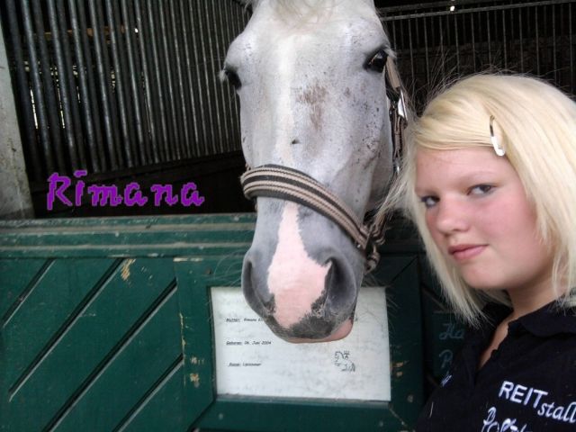 Suche reitbeteiligung - Reitbeteiligung - Achenkirch