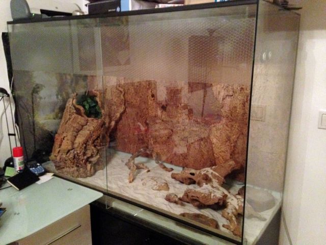 Großes Terrarium, Unterschrank und viel Zubehör  Spezialanfertigung  150x60x16 - Reptilien - München Pasing