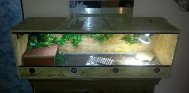 OSB Terrarium - Terrarien - Neuruppin