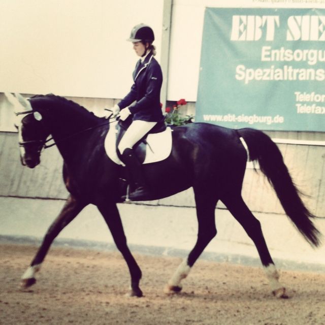 Suche Reitbeteiligung   - Reitbeteiligung - Mietingen