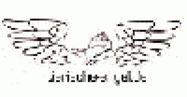 Helfen bei Tiervermittlung! - Maeuse - nähe Hannover