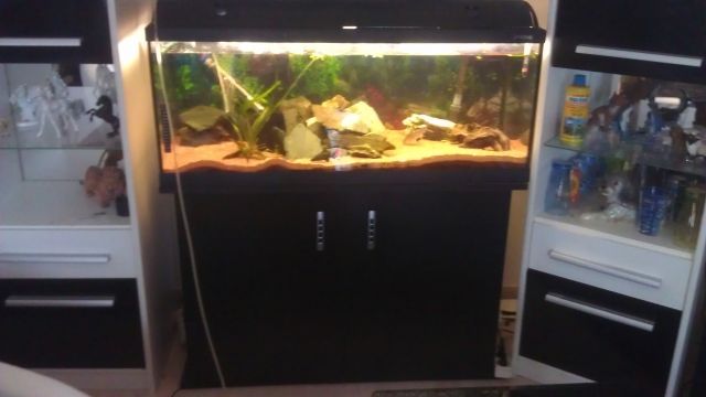 Aquarium 100x45x45 - Aquarien und Zubehoer - Geroldsgrün