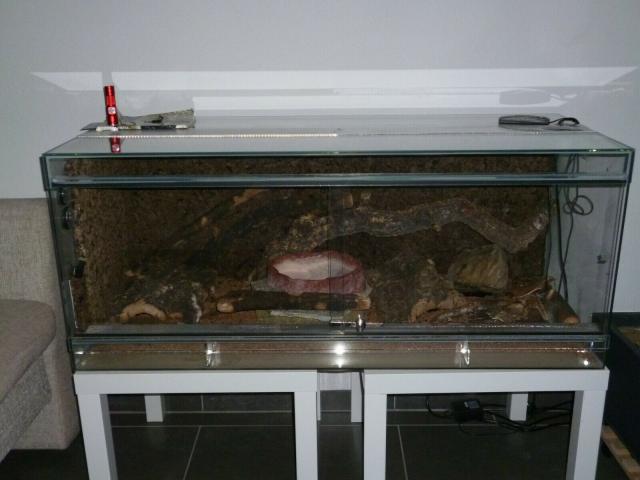 Komplett eingerichtetes Terrarium für Schlangen - Terrarien - Magdeburg