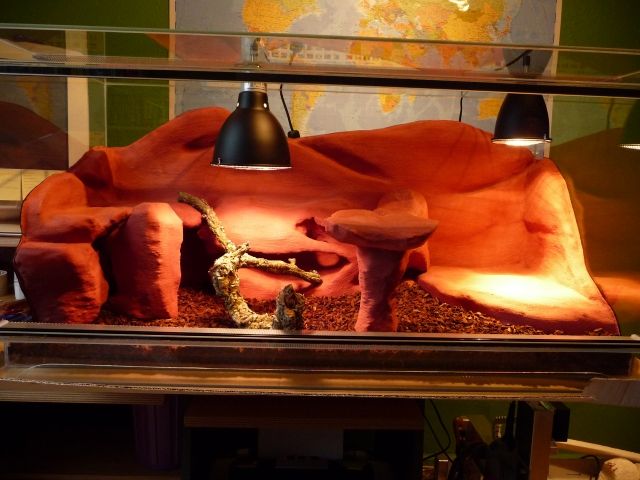 Exklusives Vollglas-Terrarium in Felsoptik - Terrarien - Schwaig