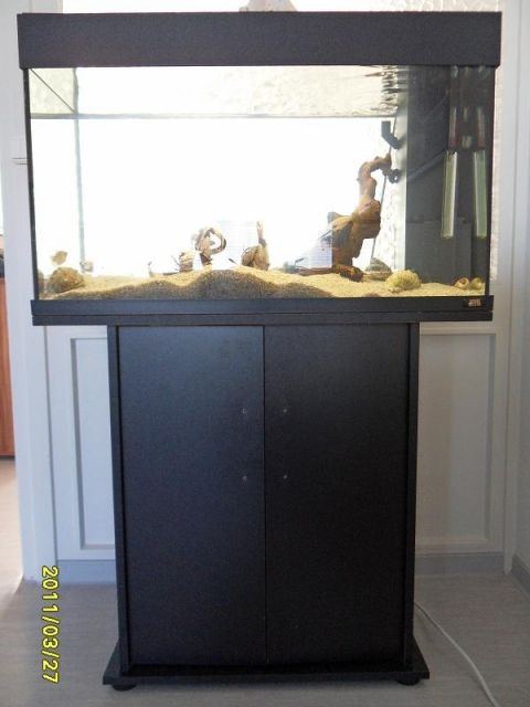 JUWEL FILTERAQUARIUM 80x35x50cm inkl. UNTERSCHRANK - Aquarien und Zubehoer - Bremen