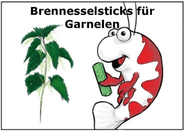 Brennessel Garnelensticks 100g Premium Garnelenfutter f Garnelen Krebse - Aquarien und Zubehoer - Delmenhorst