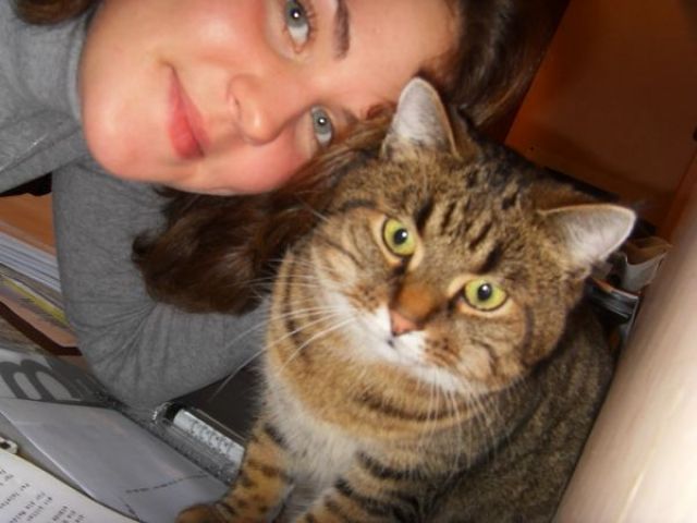Kater entlaufen - Entlaufen Zugelaufen - Neistetal