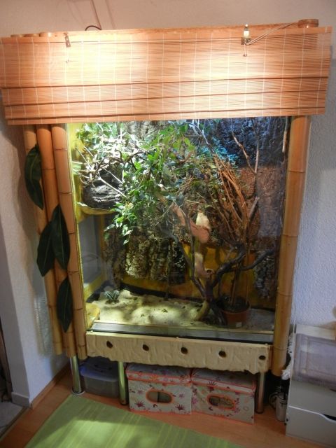 Tolles Terrarium für Baumbewohner 141x73x49x220  LxBxBxH  - Terrarien - Mering