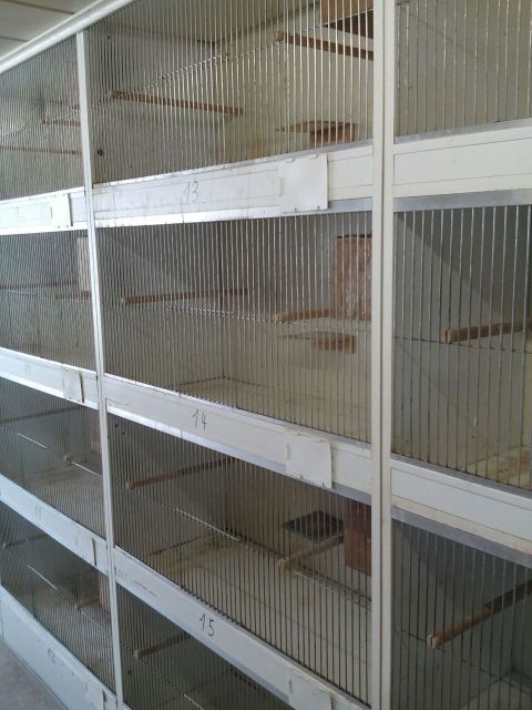Zucht-oder Quarantäne Vogelboxen  - Voegel - Gronau 