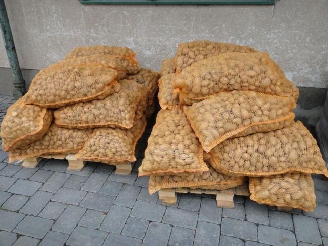Futterkartoffeln zu verkaufen - Sonstige Nutztiere - Zülpich