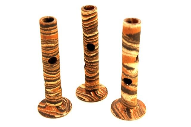 Garnelenstamm 13cm in bunt für Garnelen im Aquarium - Aquarien und Zubehoer - Delmenhorst