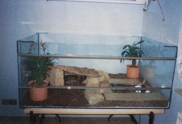 Verkaufe riesiges Terrarium mit Komplett-Zubehör  - Terrarien - Motzlar