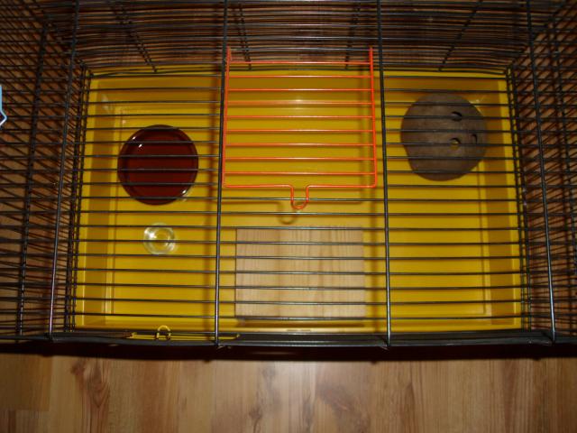 Hamsterkäfig mit Zubehör und 1 Zwerghamster - Hamster - Moringen
