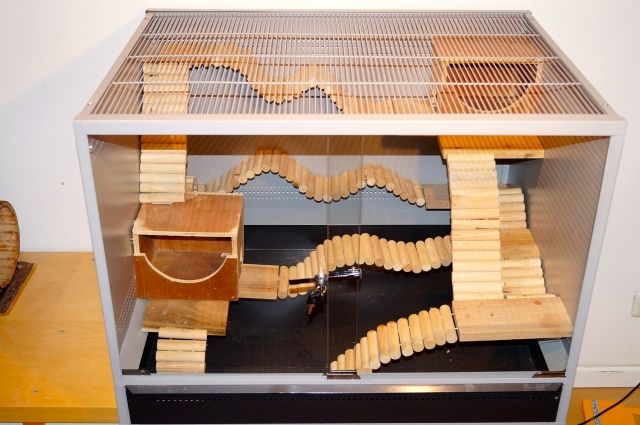 Kleintierkäfig / Nagerkäfig Montana Vivario 80 mit Zusatzausstattung, 18 Monat - Terrarien - Hamburg