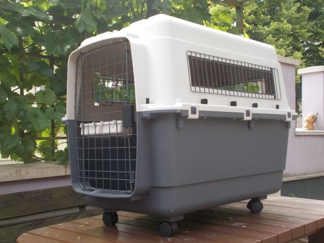 Hundebox, Transportbox - Zubehoer für Haustiere - Rötha
