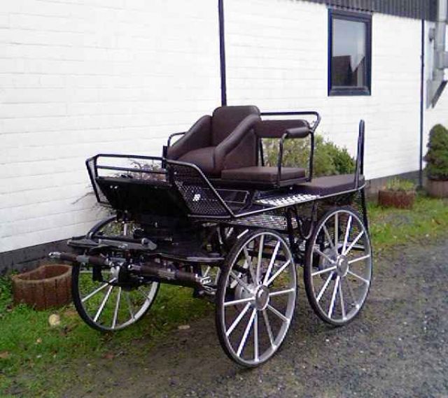 Kutsche   Marathonwagen / Marathonkutsche   1 und 2 spännig - Pferde - Kerpen
