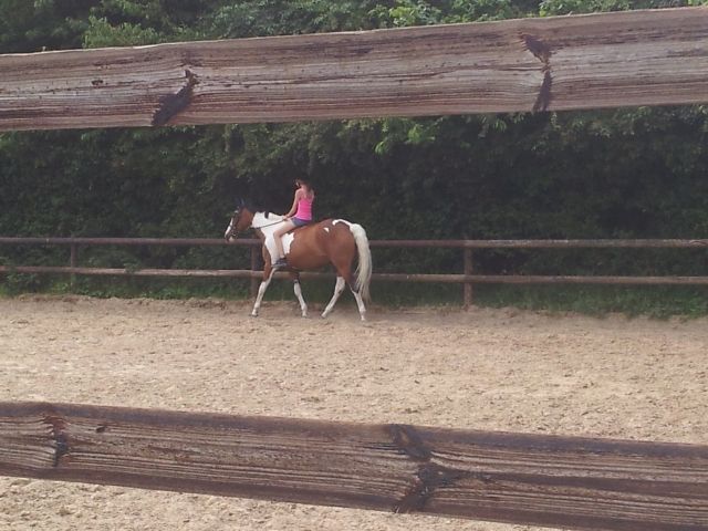 Zuverlässiges Mädchen sucht Reitbeteiligung  - Reitbeteiligung - Leichlingen