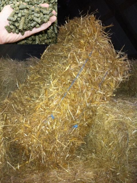 17 kg goldgelbes Qualitäts Stroh aus Bayern Strohballen Kleintierstroh - Nagetiere Allgemein - Leipheim