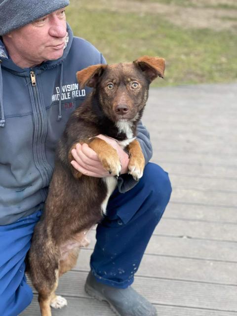 Max (35cm, 2 Jahre) - Tiere In Not - Markranstädt