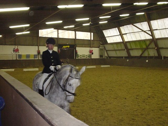 Junioren Reiterin sucht Pferd zur Verfügung oder RB - Reitbeteiligung - Dorsten
