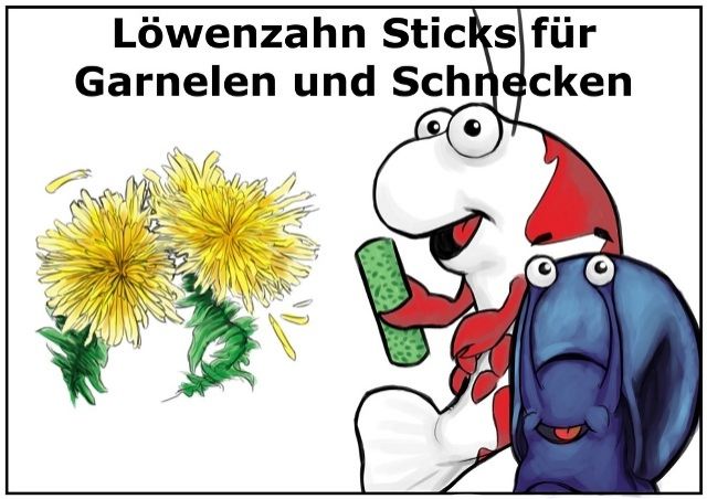 Löwenzahn Garnelensticks Premium Garnelenfutter f Garnelen u Krebse - Aquarien Zubehoer - Delmenhorst