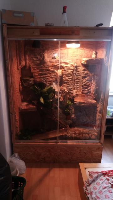 Hoch-Terra mit Beregnungsanlage und voll Ausgestattet ohne Tiere VB - Terrarien - Dresden