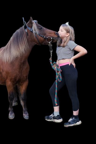 Suche reitbeteiligungen  - Reitbeteiligung - Osterode 