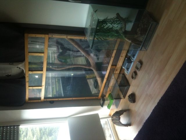 Terrarien Set - Terrarien - Linnich