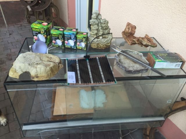 Terrarium mit Zubehör - Terrarien - Bufleben OT Pfullendorf