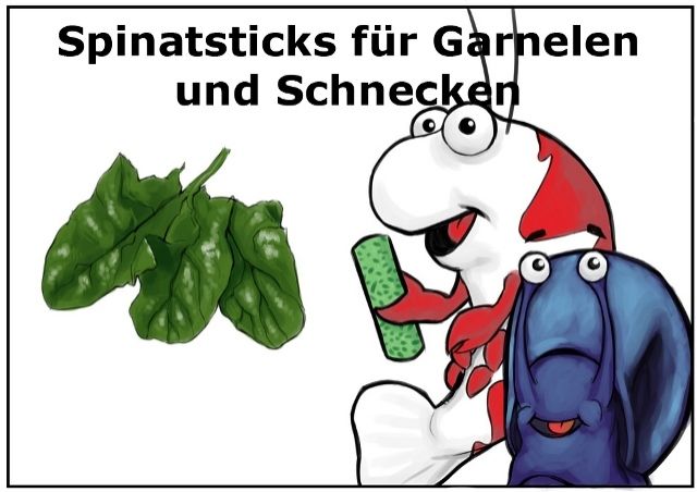 Spinatsticks / Garnelensticks 100g Premium Garnelenfutter für Garnelen Krebse - Aquarien und Zubehoer - Delmenhorst