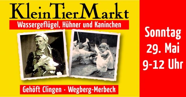 Gockelfest in Merbeck  - Nutztiere - wegberg