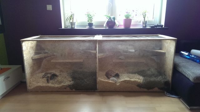 Schwere  herzens  - Nagetiere Allgemein - olpe