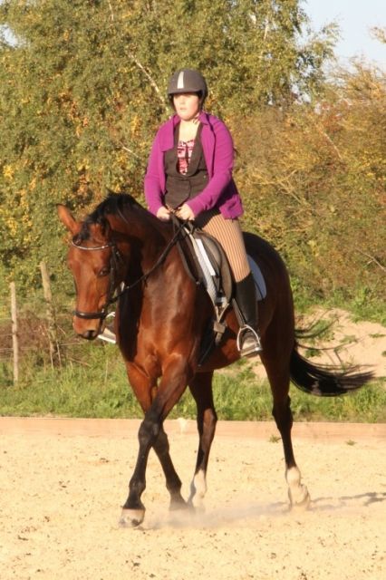 Biete Reitbeteiligung - Reitbeteiligung - Herbstein