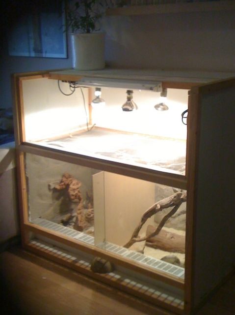 Terrarium  für Wüstenreptilien  - Terrarien - Hagen-Haspe