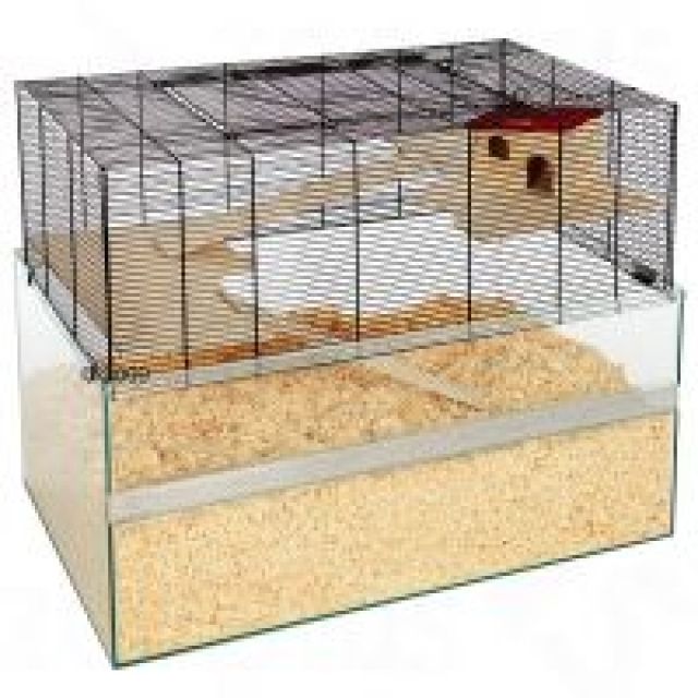 Hamster-Terrarium mit Gitteraufsatz mit Transportbox und Zubehör - Hamster - München