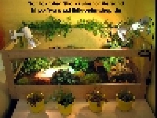 Schildkröten Shop  Landschildkröten Zubehör Versand - Terrarien - Heilbronn