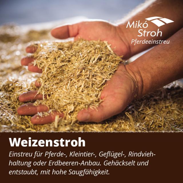 Pferdeeinstreu aus Weizenstroh - Pferde - Borota