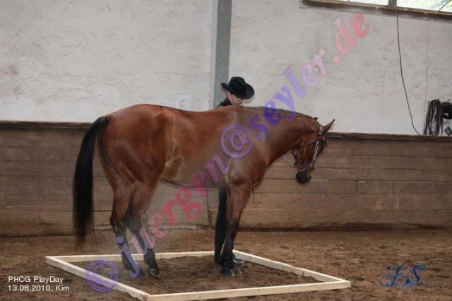 Reitbeteiligung - Reitbeteiligung - Hundsbach