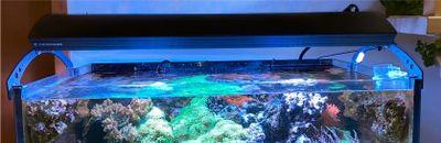 Giesemann Hybrid Aurora V4 900 - Aquarien und Zubehoer - Limbach-Oberfrohna