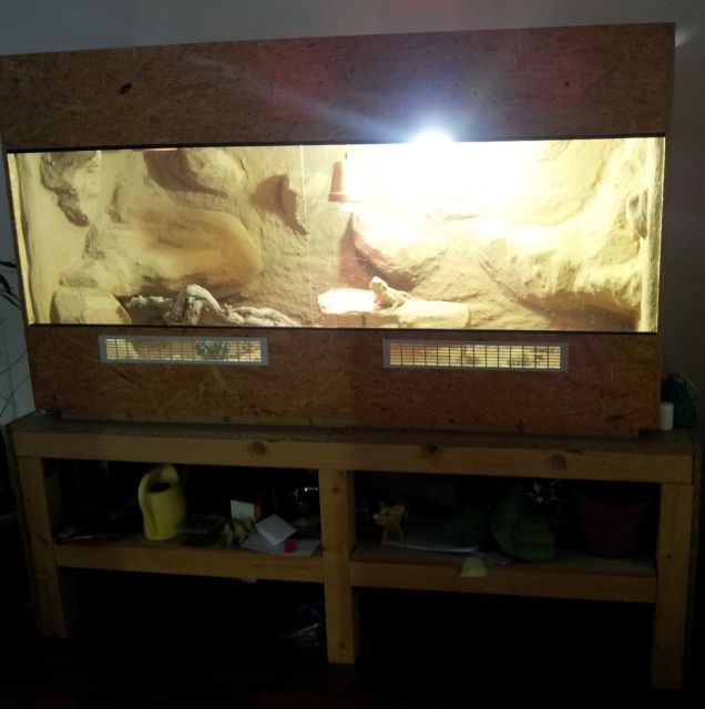 Terrarium auf Podest - Terrarien - wuppertal