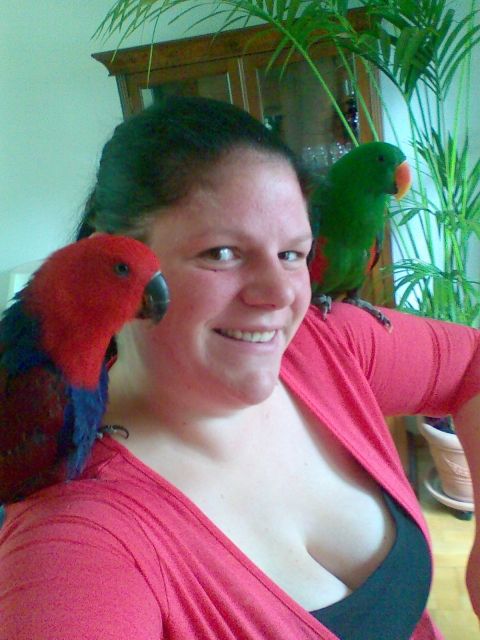 Tierbetreuung Angel hat noch Termine frei - Zubehoer Haustiere - Hamburg