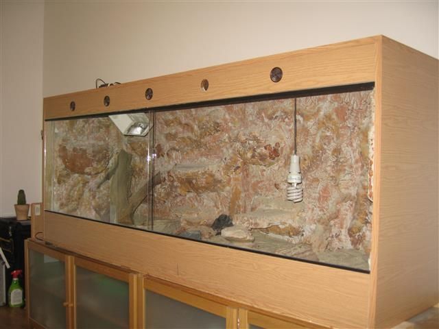 Großes Wüstenterrarium - Terrarien - Tulln