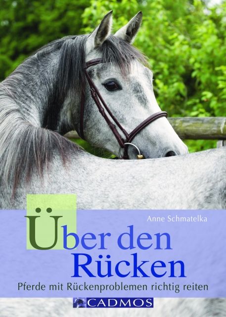 Über den Rücken - Pferde mit Rückenproblemen richtig reiten - Pferde - Gladenbach