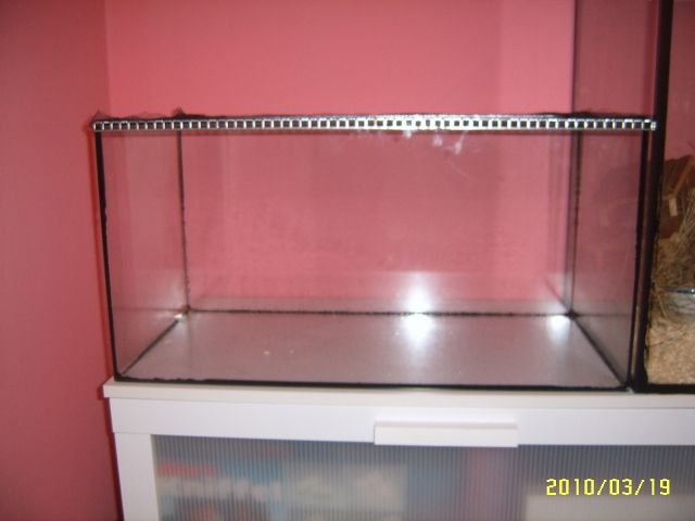 Glasbecken mit Abdeckungsgitter - Nagetiere Allgemein - Hamburg